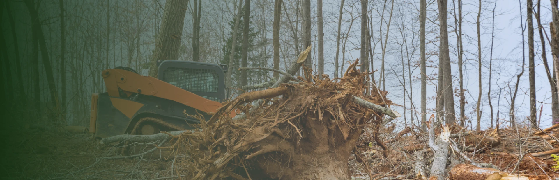 Lot Clearing breadcrumb hero