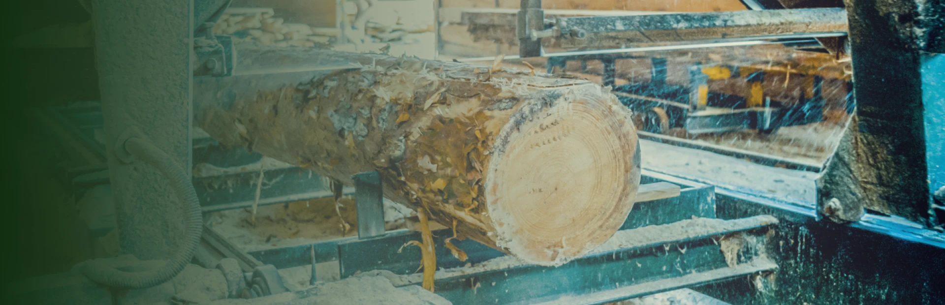 Sawmilling breadcrumb hero