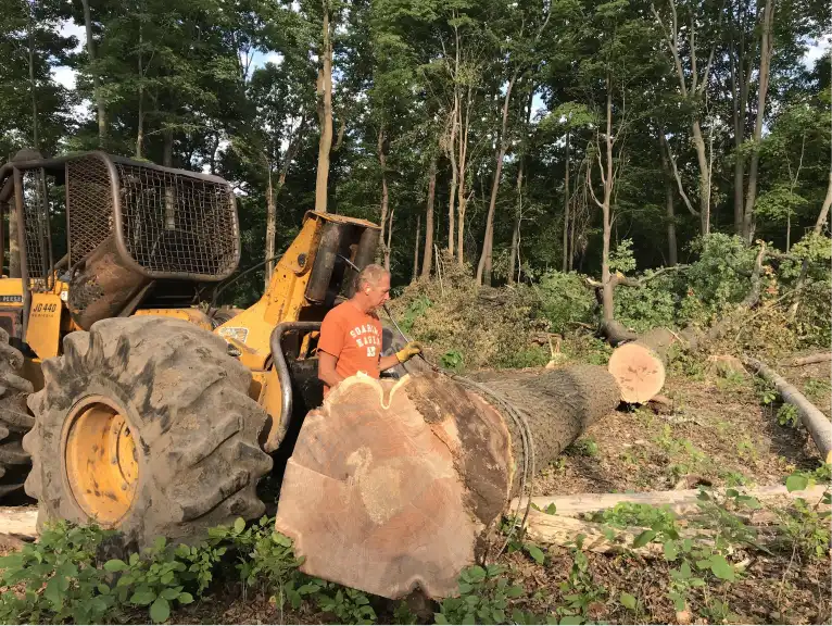 michiana timber and tree shipshewana in 2025 07 12T11 07 09.129260Z 71850.00989740615
